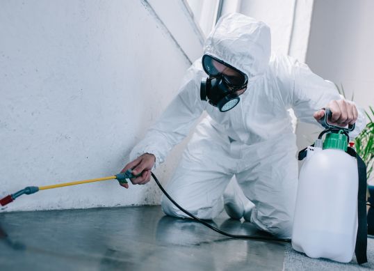 pest control service in Your Location